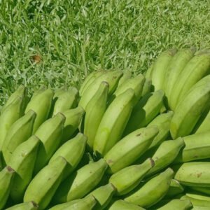 Fresh Banana